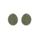 Anterior
