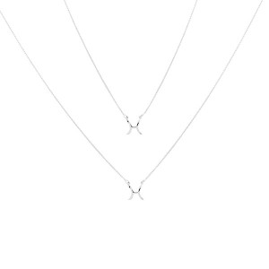 Colar Escapulário Signo Peixes 60cm Prata 925