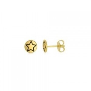 Brinco Estrela na Chapa Banhado a Ouro 18k