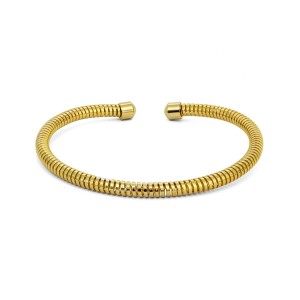 Colar Mola Aro Chocker Dourado